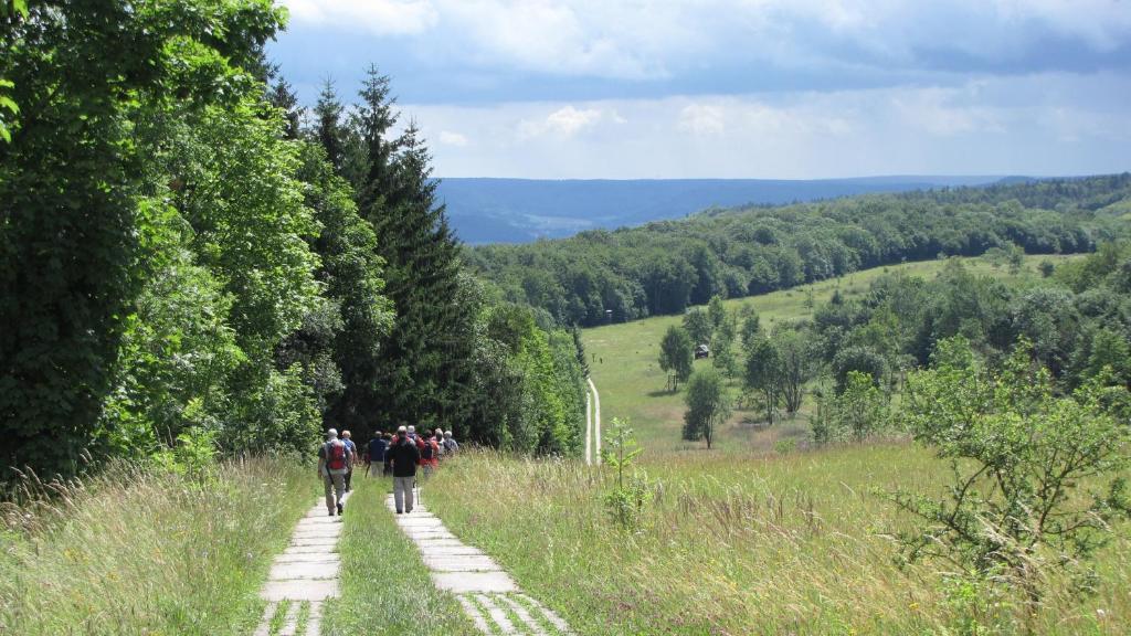 Landhaus Am Westerwald Martinfeld 외부 사진